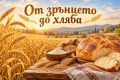 От зрънцето до хляба - малка снимка